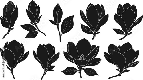Magnolia flowers. Set of magnolia flower black silhouettes isolated on a white background. Vector illustration
