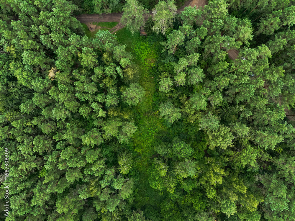 Naklejka premium Aerial View of Dense Forest with Clearing and Dirt Paths in Lithuania