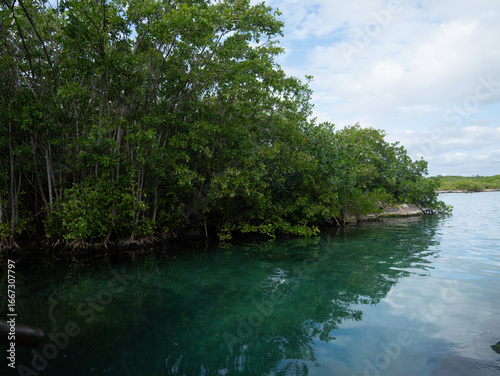 Scenic view of Yalku Lagoon in Quintana Roo, Mexico, with clear turquoise water and lush green mangroves under a partly cloudy sky.
