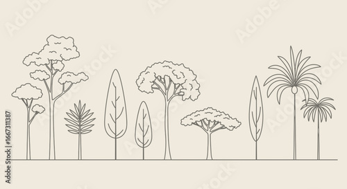 Elegant minimal line drawing of diverse trees, creating a serene natural scene