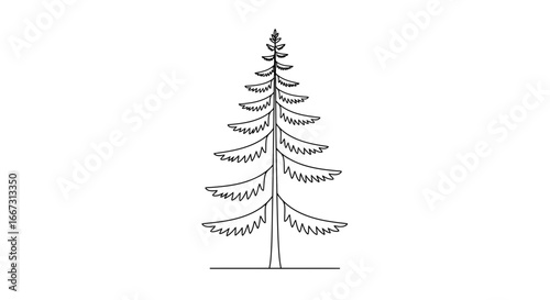 Minimalist outline of a tall coniferous tree on a stark white backdrop isolated