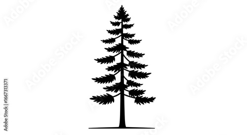 Elegant black silhouette of an evergreen tree on a clean white background