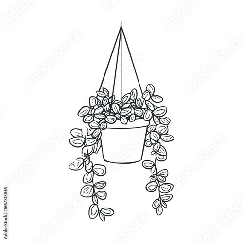 Hanging plant with lush foliage in decorative pot for home decor
