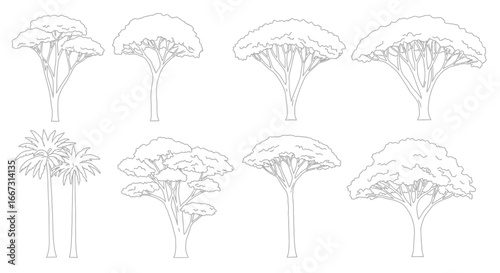 Vector illustration of various tree outlines, perfect for nature and landscaping projects