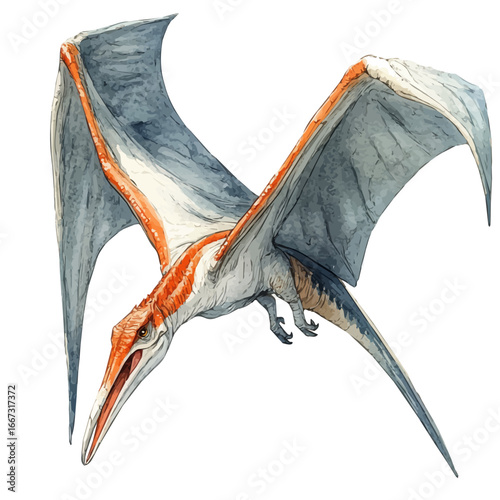 Pteranodon, watercolor painting vector, isolated on a white background.