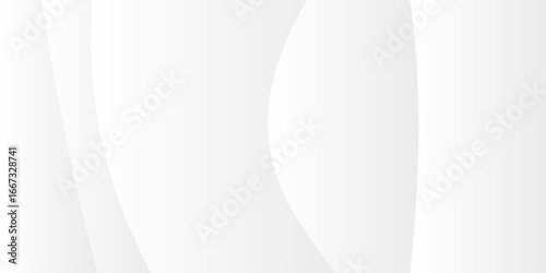 Elegant white and grey abstract background featuring smooth, flowing curves, ideal for contemporary and professional designs.