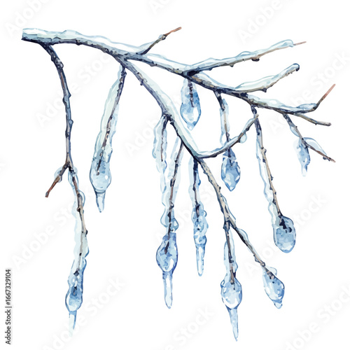watercolor vector of Icicles Hanging Branches, isolated on a white background.