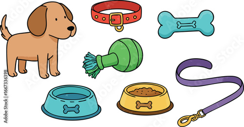 Cute puppy with pet accessories including collar leash bowl and chew toys vector illustration design