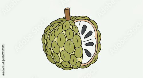 Illustration of a cut custard apple showing seeds and segmented texture.