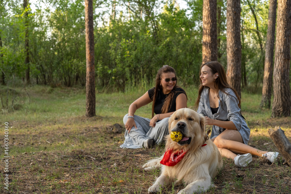 Obraz premium Two girls are walking with retriever dog in the pine forest.