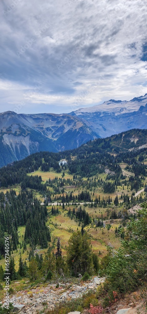 Fototapeta premium landscape with mountains