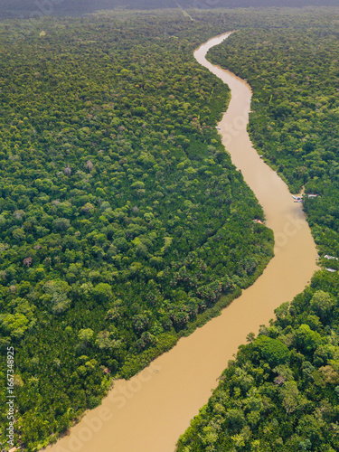 Imagem aérea da Floresta Amazônica 