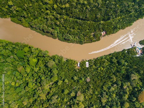 Imagem aérea da Floresta Amazônica 