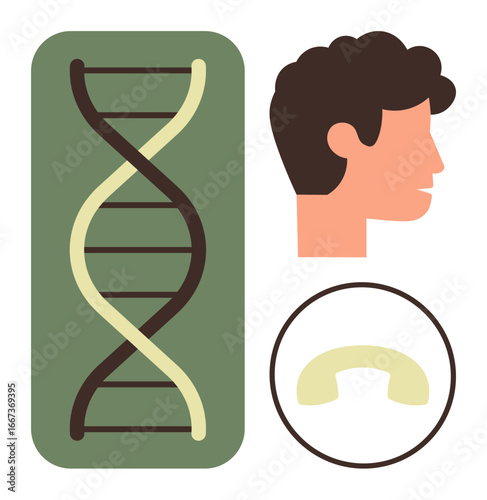 DNA strand, human head profile, and genetic structure represent biology, heredity, genetics, evolution, healthcare, research education science communication. Ideal for abstract visualizations or
