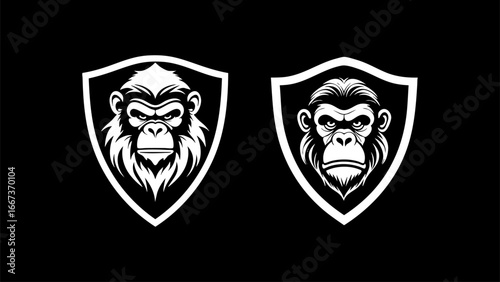 Chimpanzee angry in shield