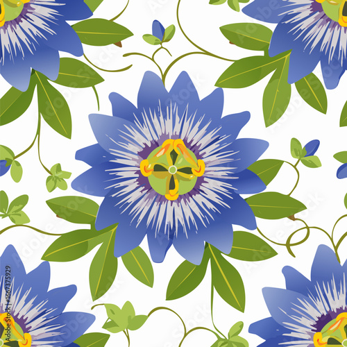 Seamless Pattern Blue Passionflower Flower