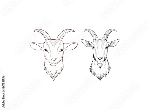 simple line art Goat