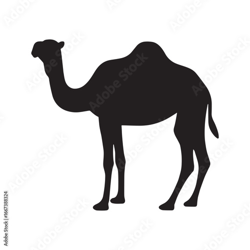 Camel silhouette vector icon. Desert dromedary animal graphic symbol, isolated on white background. Arabian wildlife logo design.
