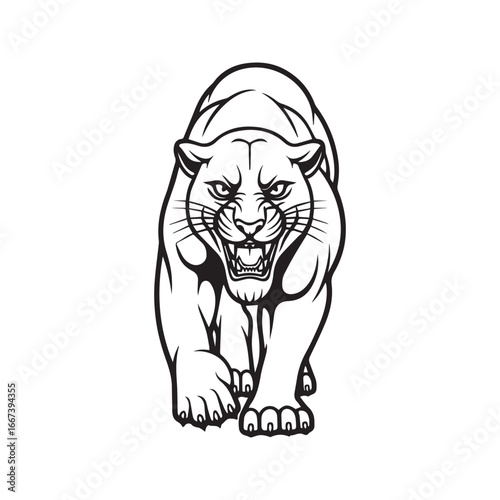 Walking panther front view line art. Fierce wild cat sports mascot vector illustration.
