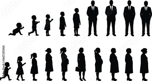 Life stages, human growth, baby to adult, child development, pregnant women, business professionals, silhouette progression, age transformation, family timeline, growth stages