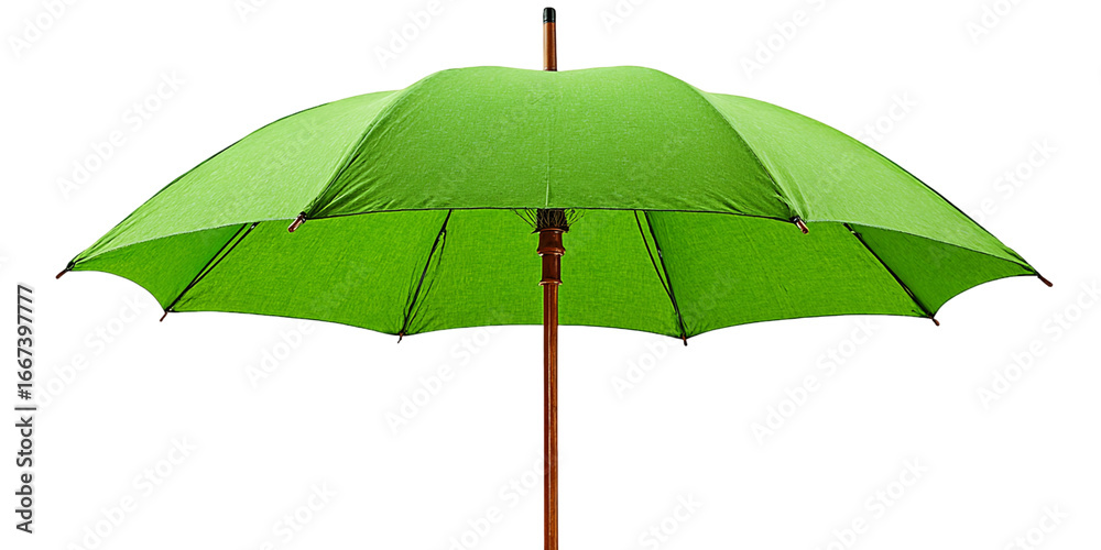 Obraz premium Classic Green Umbrella Open Against Transparent Background, PNG
