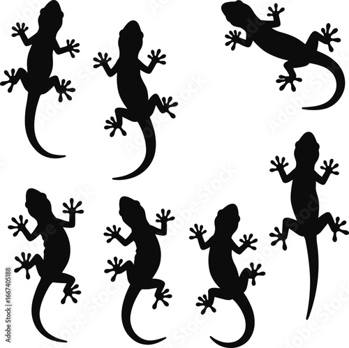 Silhouette gecko lizards, reptiles, exotic animals, crawling creatures, tropical wildlife, climbing gecko, wall lizard, nature reptile, wild animal, biology, zoology