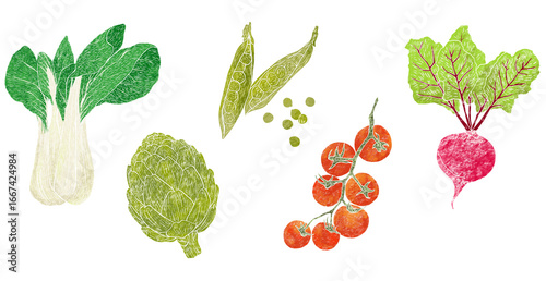 Hand-Drawn Vegetable Illustration Set – Linocut Style Organic Food illustration-Beetroot, Peas, Tomato, Artichoke, Bok Choy