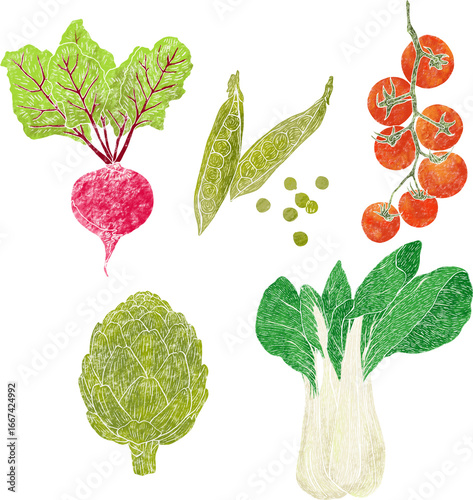 Hand-Drawn Vegetable Illustration Set – Linocut Style Organic Food illustration-Beetroot, Peas, Tomato, Artichoke, Bok Choy