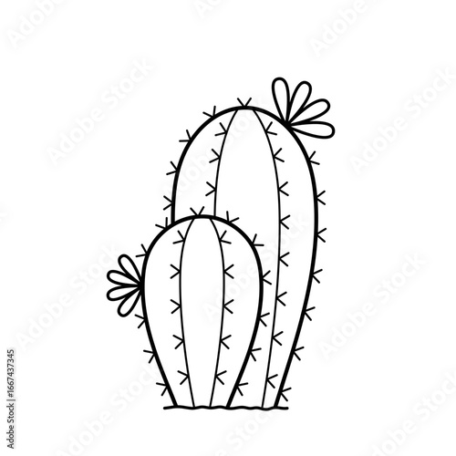 Cactus. Two blooming cacti. Hand drawn sketch icon of mexican cactus flower. Isolated vector illustration in doodle line style.