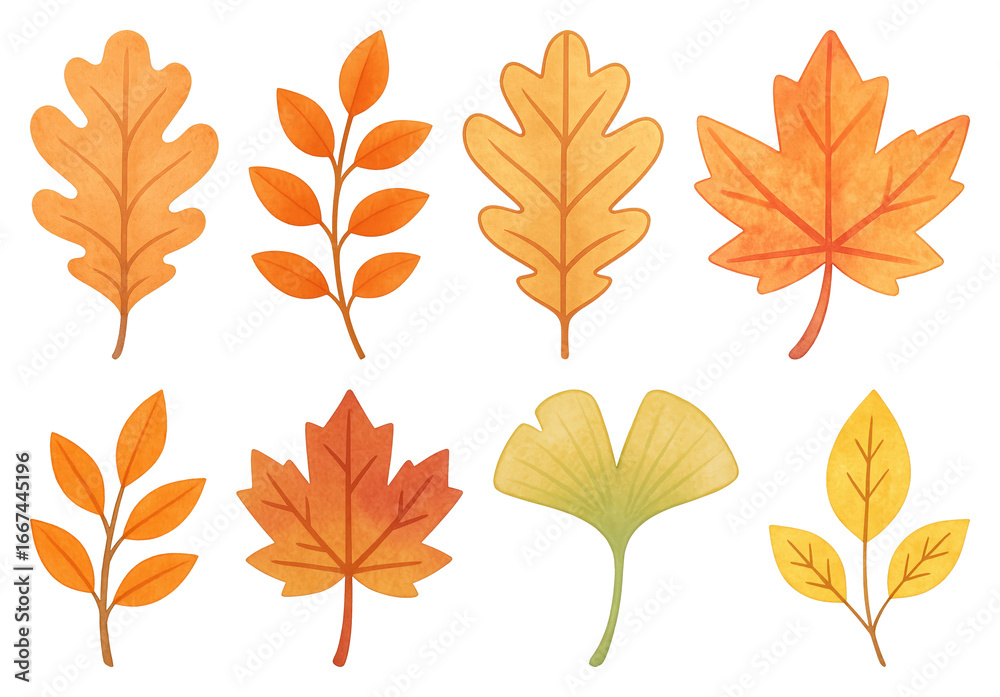 Fototapeta premium PNG Colorful autumn leaves illustration, element set on transparent background