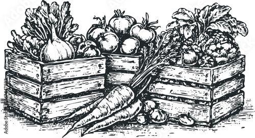 Black and white sketch of assorted fresh produce in wooden crates