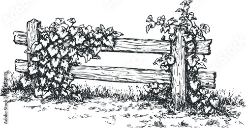 Wooden fence post overgrown with leafy vines and grass
