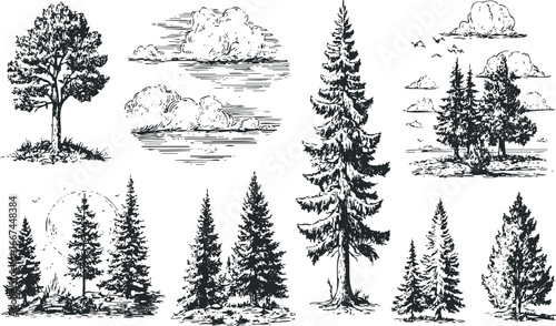 Collection of hand drawn coniferous and deciduous trees with clouds