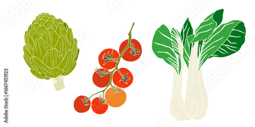 Hand-Drawn Vegetable vector Illustration Set – Botanic Style Organic Food illustration-Tomato, Artichoke, Bok Choy.