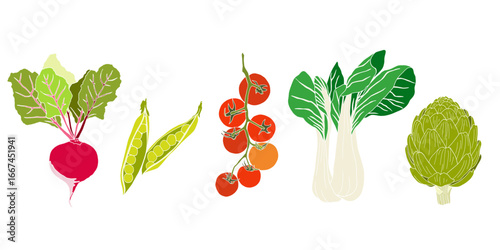 Hand-Drawn Vegetable vector Illustration Set – Botanic Style Organic Food illustration-Beetroot, Peas, Tomato,  Bok Choy.