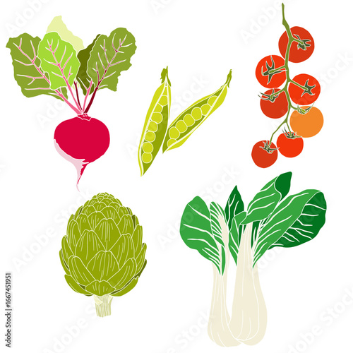 Hand-Drawn Vegetable vector Illustration Set – Botanic Style Organic Food illustration-Beetroot, Peas, Tomato, Artichoke, Bok Choy.