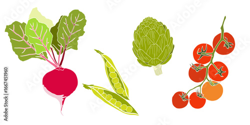 Hand-Drawn Vegetable vector Illustration Set – Botanic Style Organic Food illustration-Beetroot, Peas, Tomato, Artichoke, Bok Choy.