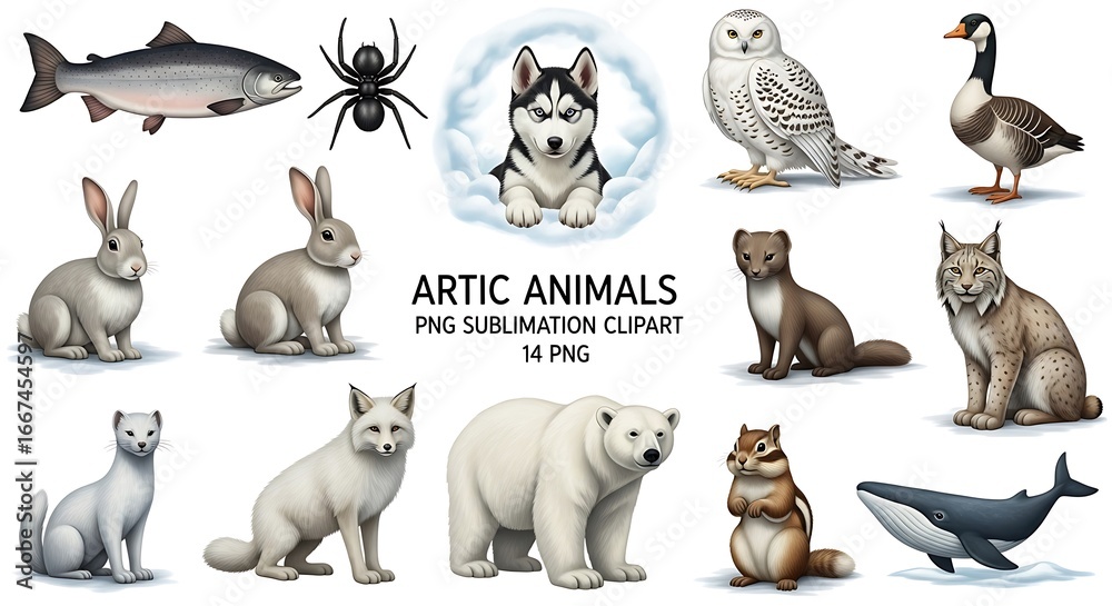 Fototapeta premium Arctic Animals Collection with Salmon Husky Owl Goose Rabbit Lynx Polar Bear Chipmunk Whale wildlife
