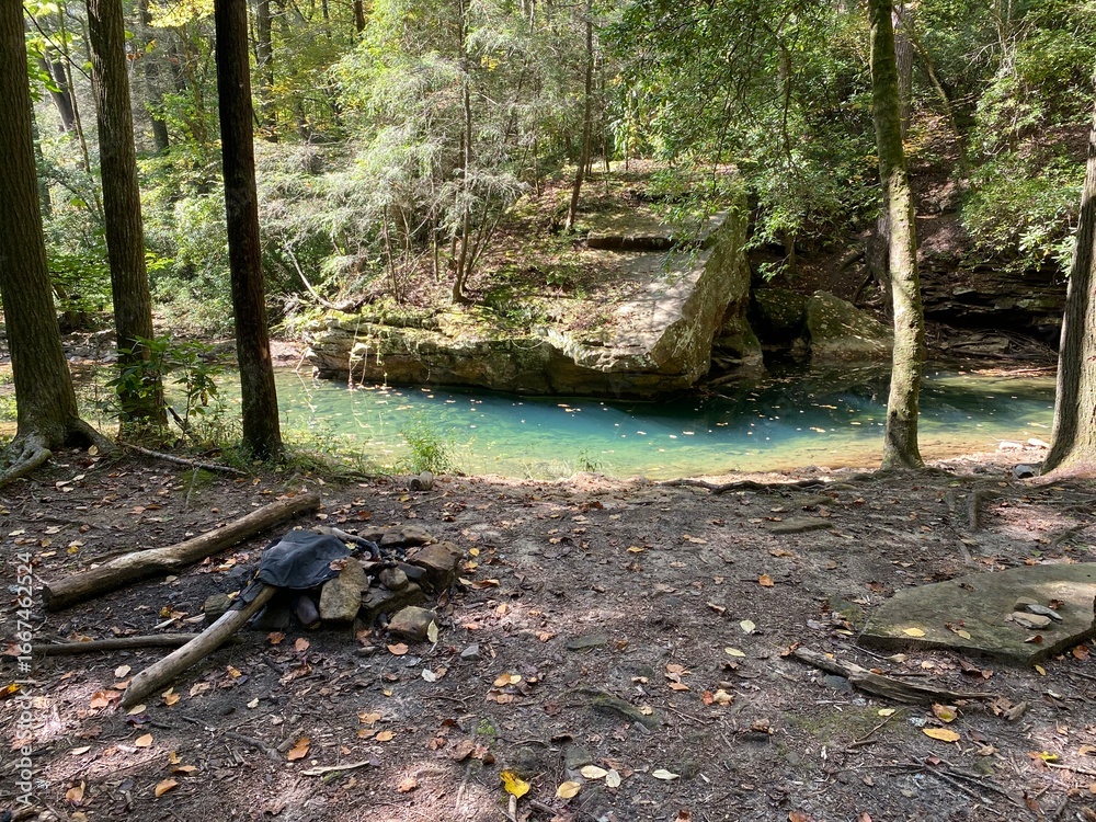 Obraz premium river in the forest