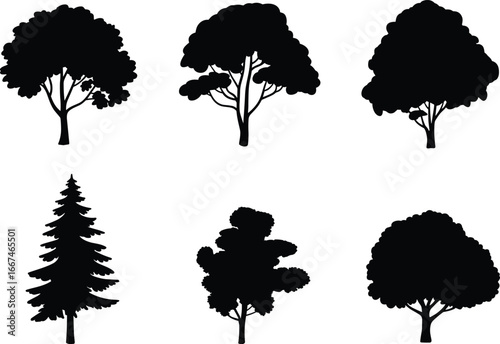 Tree silhouette set, diverse tree shapes, botanical vector illustration, broadleaf and coniferous trees, foliage pattern, nature design element, landscape graphic asset