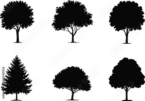 Tree silhouette collection, various tree shapes, botanical vector illustration, deciduous and coniferous trees, landscape design elements, foliage pattern, nature graphic set