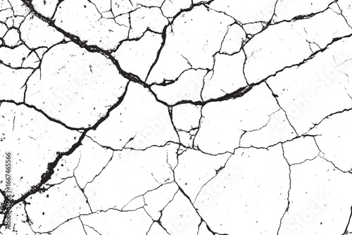Black and White Grunge Distressed Cracked Texture Overlay