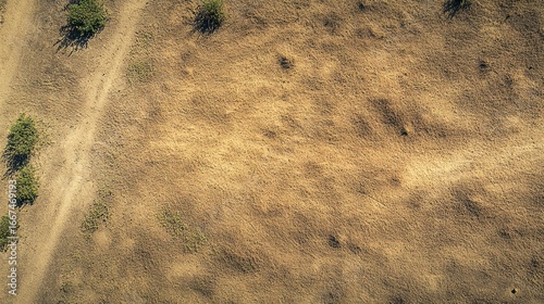 Aerial view of a dry landscape with a winding path and sparse vegetation portraying the effects of