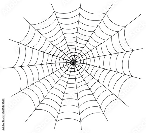 Intricate spider web design vector | halloween concept | elegant web pattern