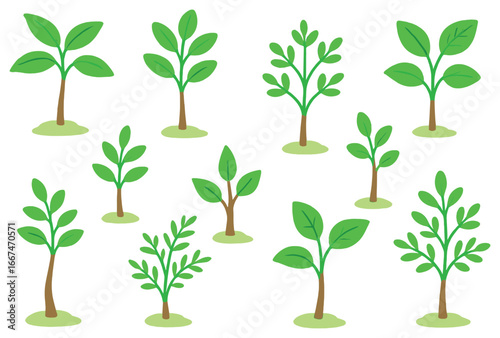 Diverse sapling collection vector: young tree growth and green nature elements for ecology design