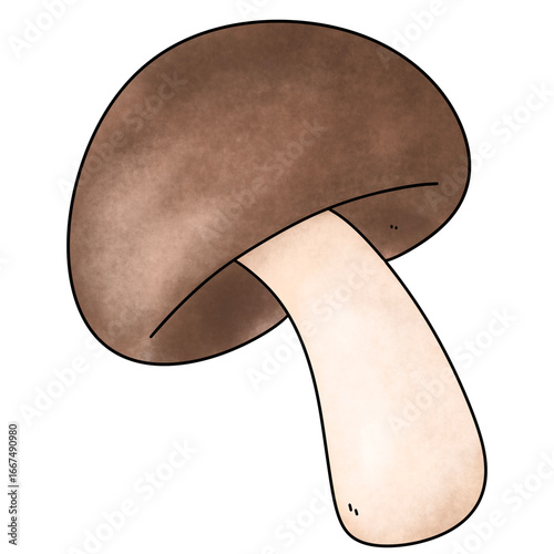 oyster mushroom 