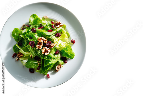 Fresh Green Salad with Lettuce, Walnuts, and Cranberries on a White Plate Isolated on a Dark Background