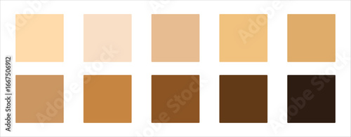 Human Skin Tone Color Palette Divers Skin Shades Vector Swatches