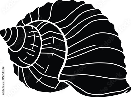 Black and white graphic illustration of a spiral seashell with white lines marine ocean