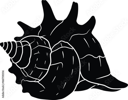 Black silhouette of a conch shell with white outline details on a white background ocean marine